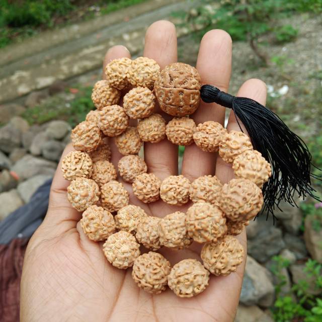 Tasbih jenitri rudraksha