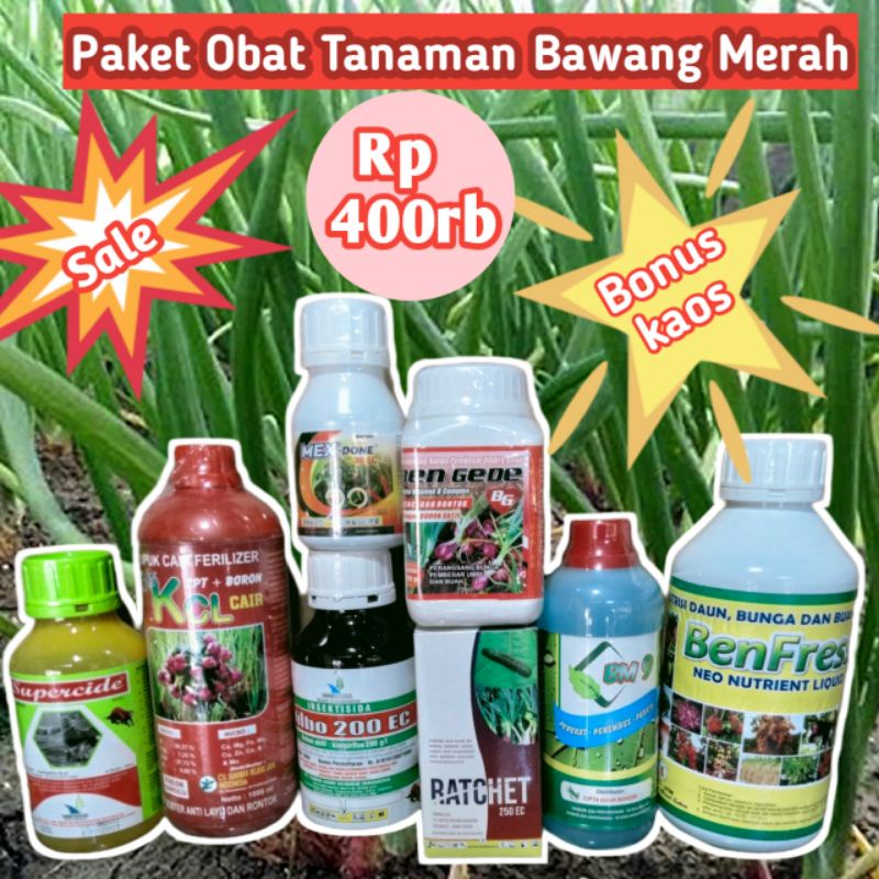 Paket obat tanaman bawang merah