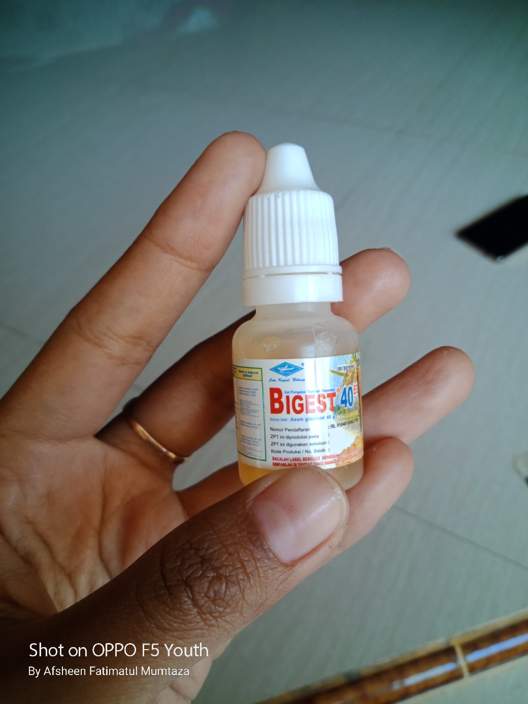Bigest 40 Ec 10 Ml Zat Pengatur Tumbuh