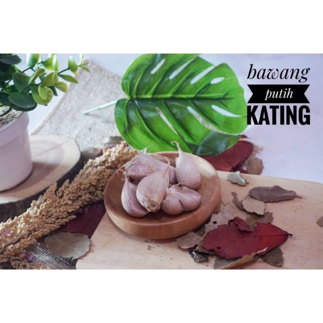 

Bawang putih kating