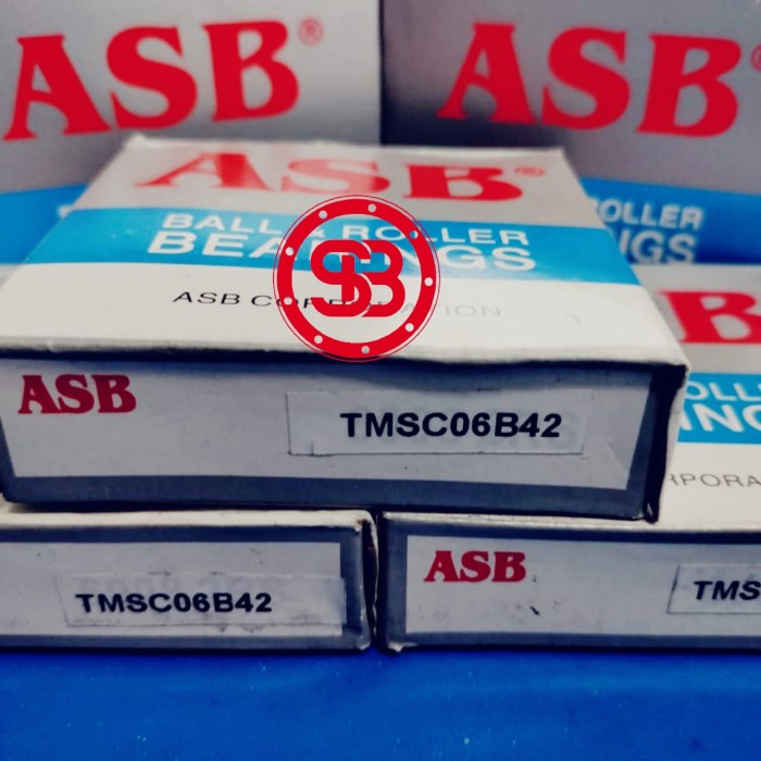 Bearing / Laker / Laher TM SC 06B42 ASB as kruk Tiger