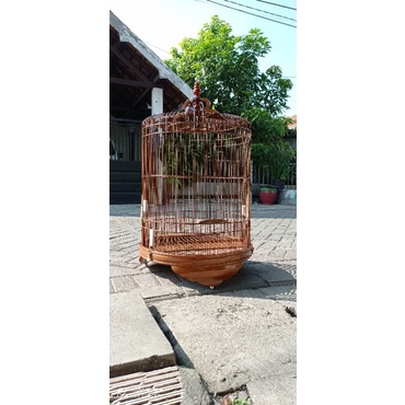 sangkar murai natural bukan ebod sazime oriq radja bnr