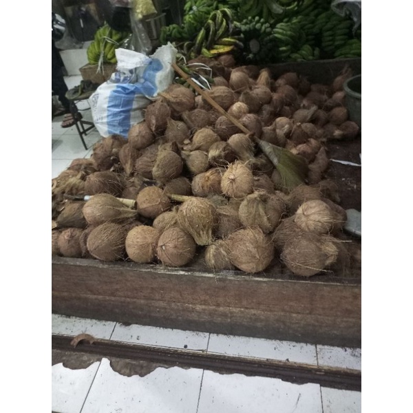 

Kelapa Utuh / parut Sudah di kupas