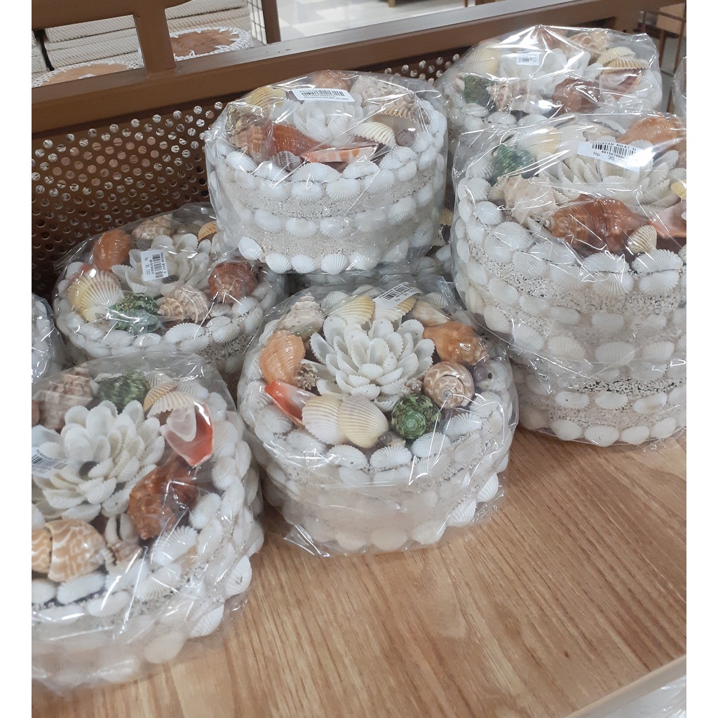 KOTAK PERHIASAN DARI KERANG BULAT MEDIUM ASLI HANDMADE BALI HIGH QUALITY