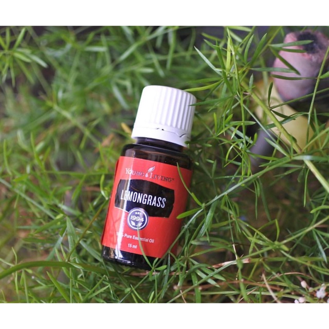 Lemongrass Young Living Essential Oil