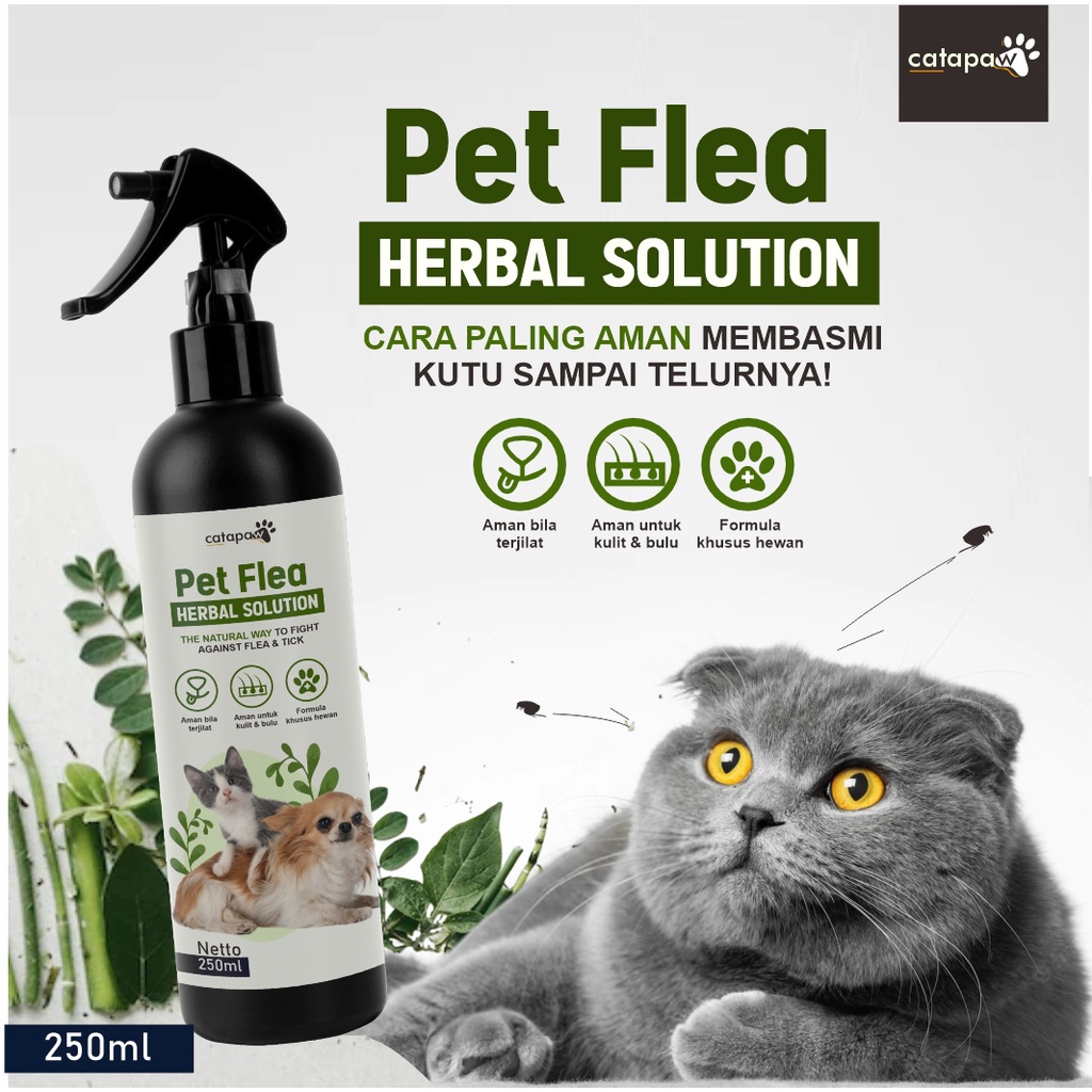 CATAPAW Obat Pembasmi Kutu Kucing Anjing Ampuh / Penghilang Kutu Kucing Natural Pet Flea Remover / Anti Kutu Kucing Anjing Bahan Alami