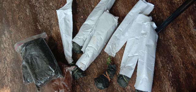 Media Tanam Cocopeat