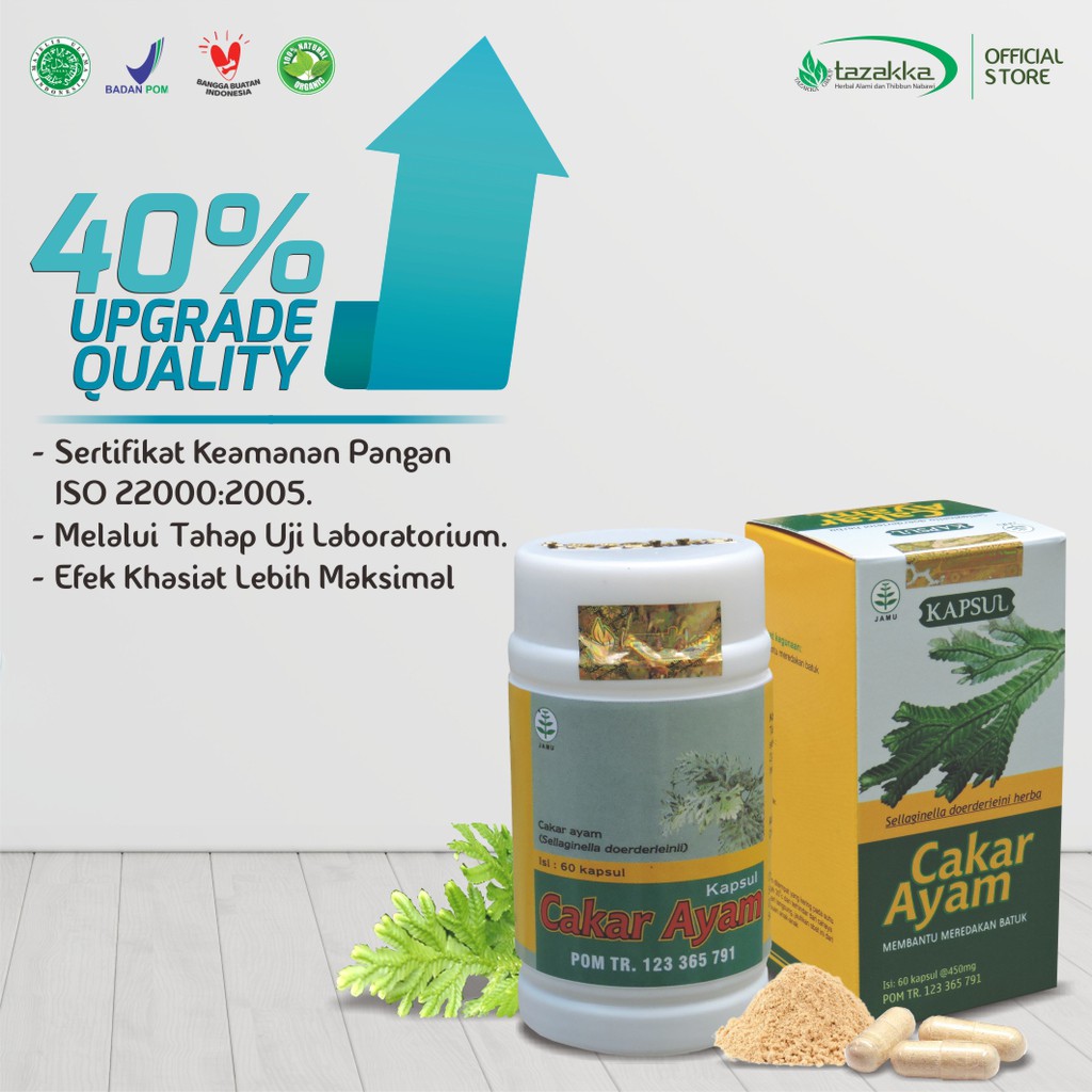 Obat Batu Berdahak daun Cakar ayam dengan Isi botol 60 kapsul HALAL BPOM | Original Produk