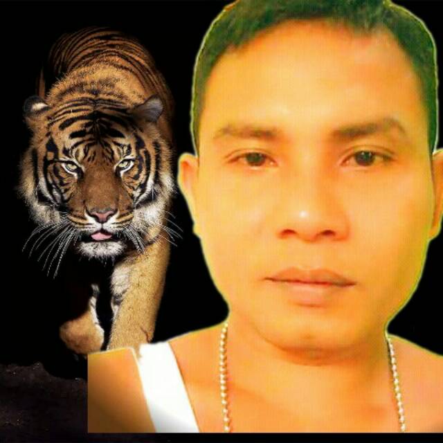 rr4bp6edzl