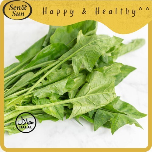 

Sen&Sun Horenzo Hydroponic 200 gr