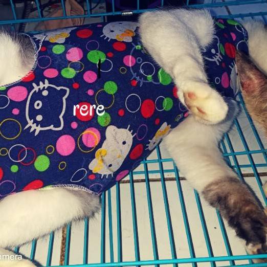 SALE KODE-764 Baju Kucing Betina Pasca Steril