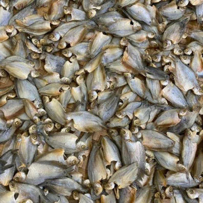 Ikan Sepat Kering Khas Banjarmasin / Iwak Sapat Kering / Berat 500 Gram