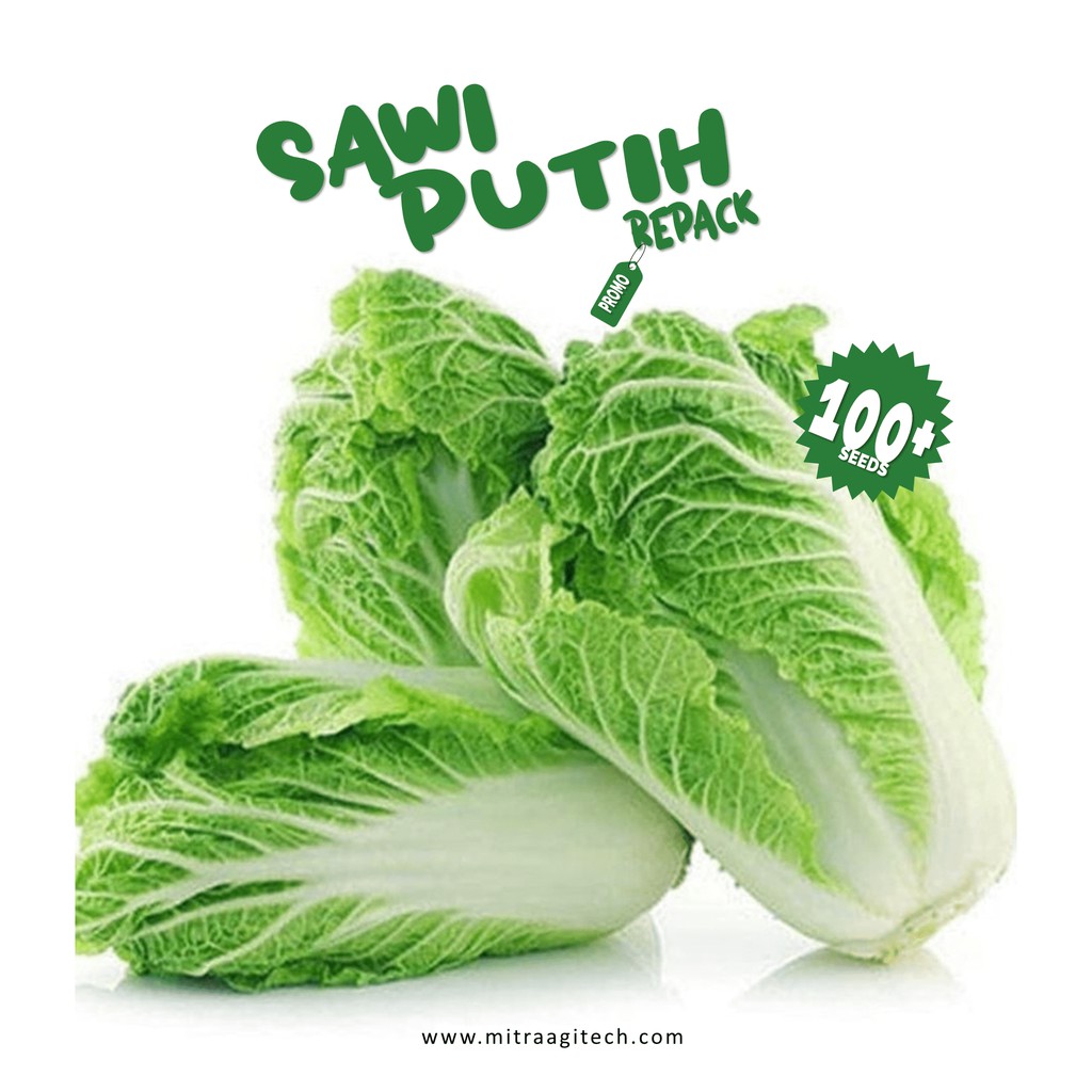 Jual Benih Bibit Sawi Putih Chinese Cabbage Isi 100 An Kemasan Repack