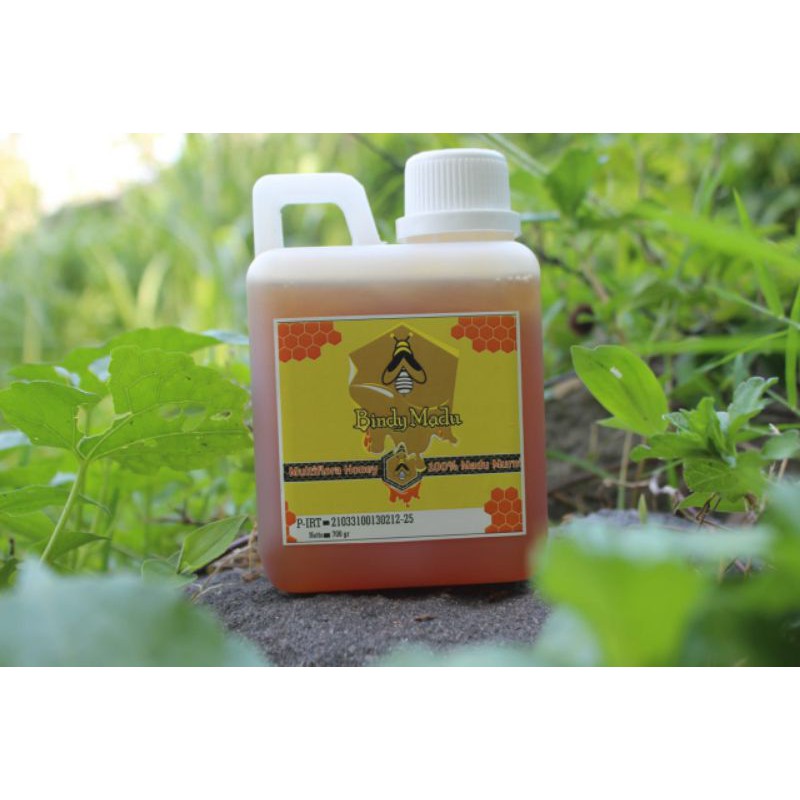 

BINDY MADU Murni MADU asli MADU hutan MADU RAW HONEY 700gr