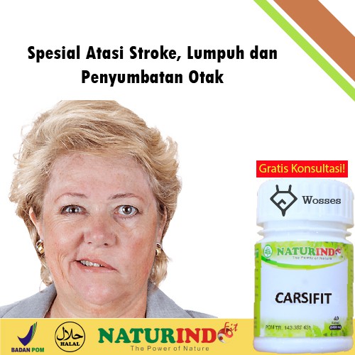 Obat Herbal Stroke ( Carsifit ) Naturindo