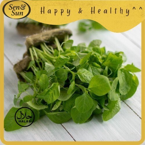 

Sen&Sun Bayam Hijau Hydroponic 200 gram