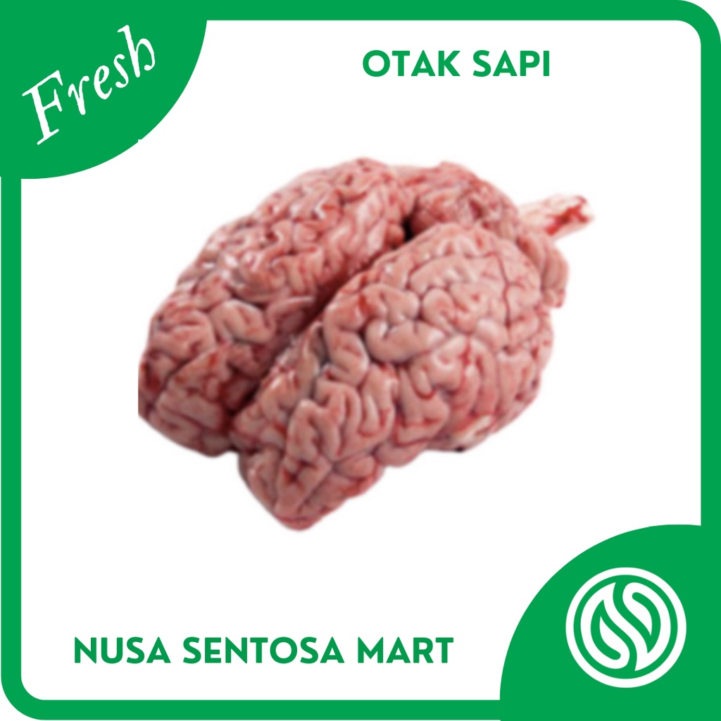

Otak Sapi Segar - 1 Pcs