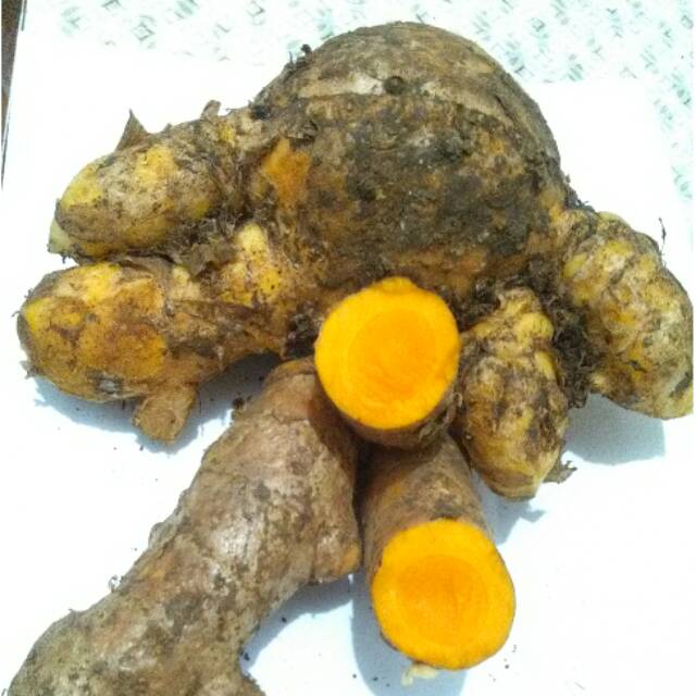 

Temu Lawak 1 kg