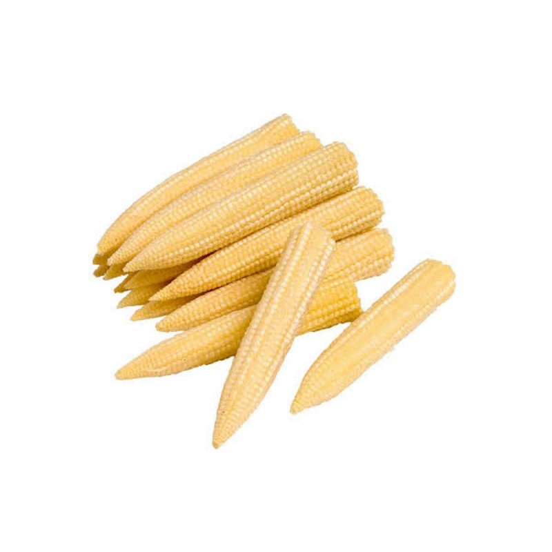 

babycorn (putren) jagung muda