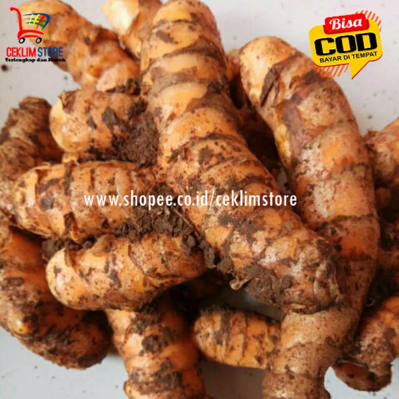 

Kunyit Utuh 100 Gram || Sudah Dicuci Bersih