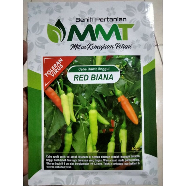 Benih Cabe Rawit RED BIANA 10 Gram - Bibit Cabai RED BIANA - CRM MARUYUNG pakem 21 kaliber ori222 OR