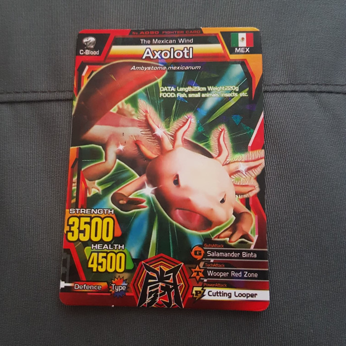 Kartu animal kaiser axoloti