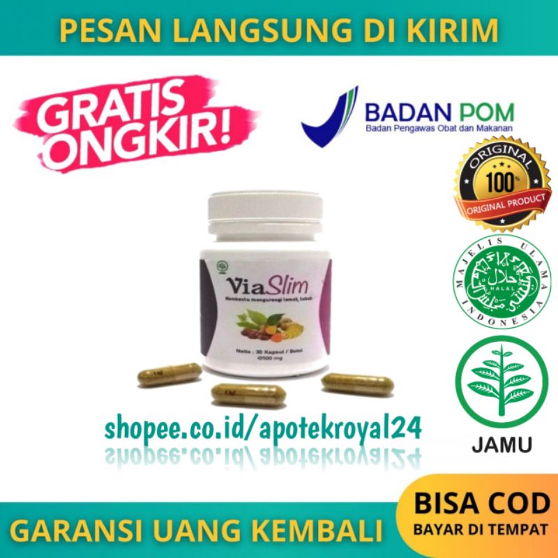TERLARIS Ready Stok VIASLIM BPOM Via Slim Asli Obat Pelangsing Badan 100% Original Obat Diet BPOM