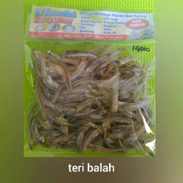 

ikan teri belah