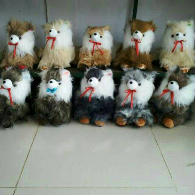Boneka kucing anggora