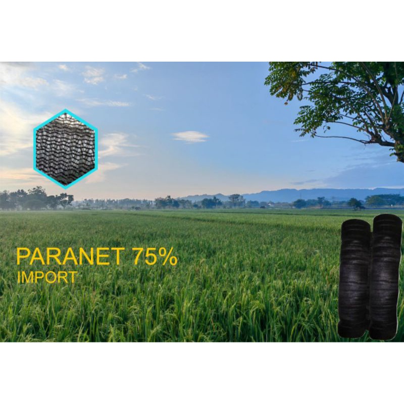 paranet import 75% [roll]