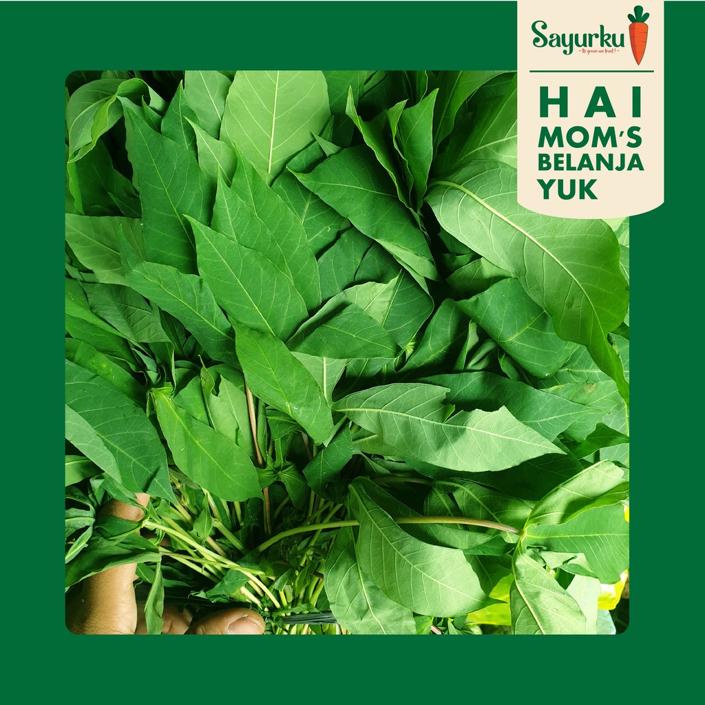 

Daun Singkong 1 Ikat