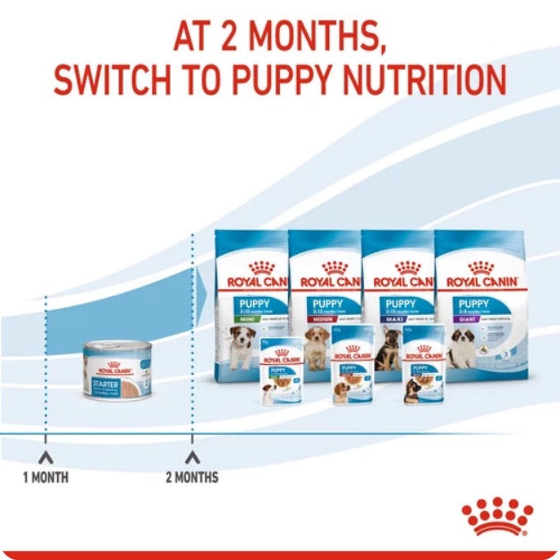 Royal Canin Starter Mousse Mother Puppy 195 gr - Makanan Induk Anjing Menyusui Melahirkan dan Bayi Anjing