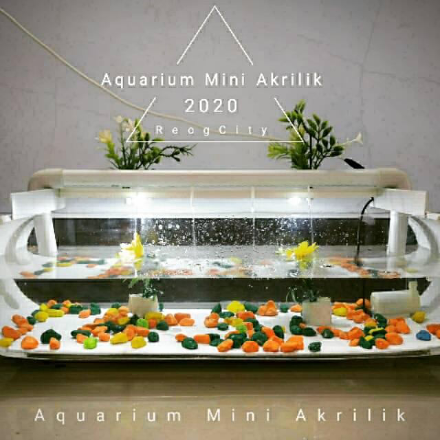 Aquarium mini akrilik