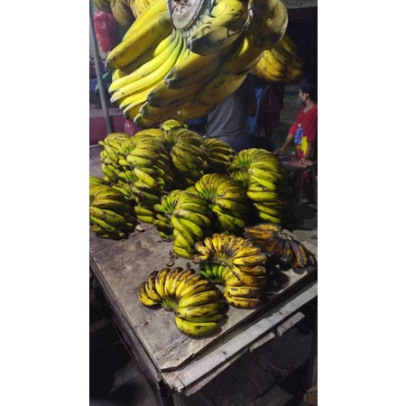 

Pisang Barangan Medan Besar