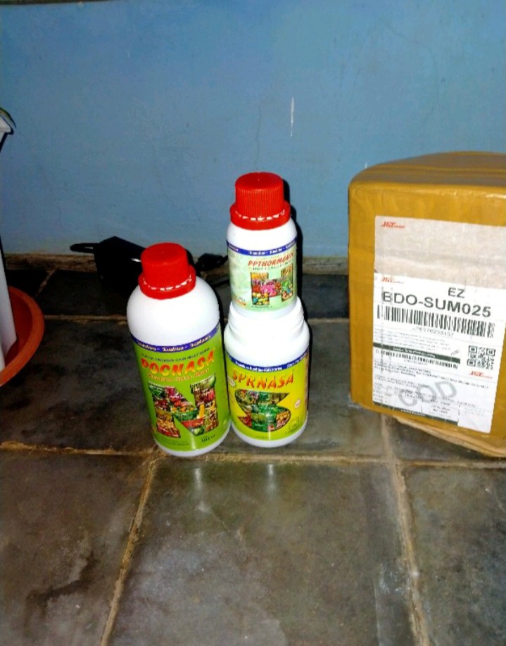 Paket Pupuk Nasa Pelebat Buah Yang Ampuh Terlaris