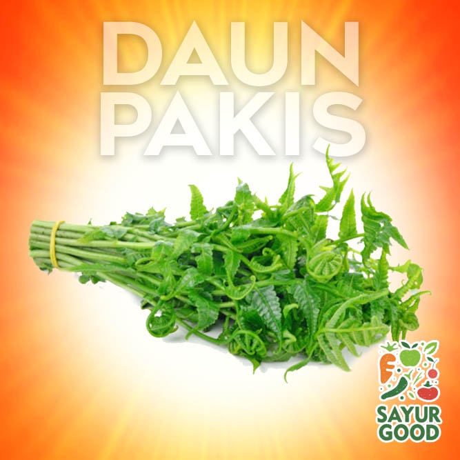 

Daun Pakis / Sayur Pakis / Ikat (Sayur Segar)