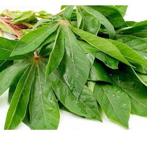 

Daun Singkong Segar Per Ikat