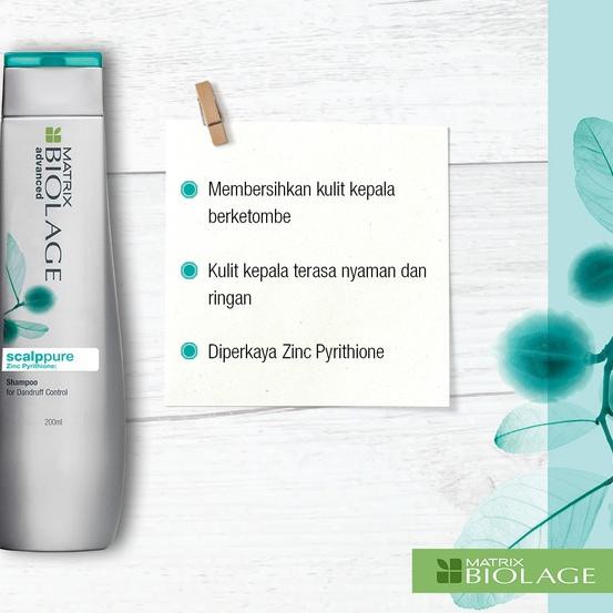 Siap Kirim -  Matrix Biolage Scalppure Anti Dandruff Shampoo 200ml