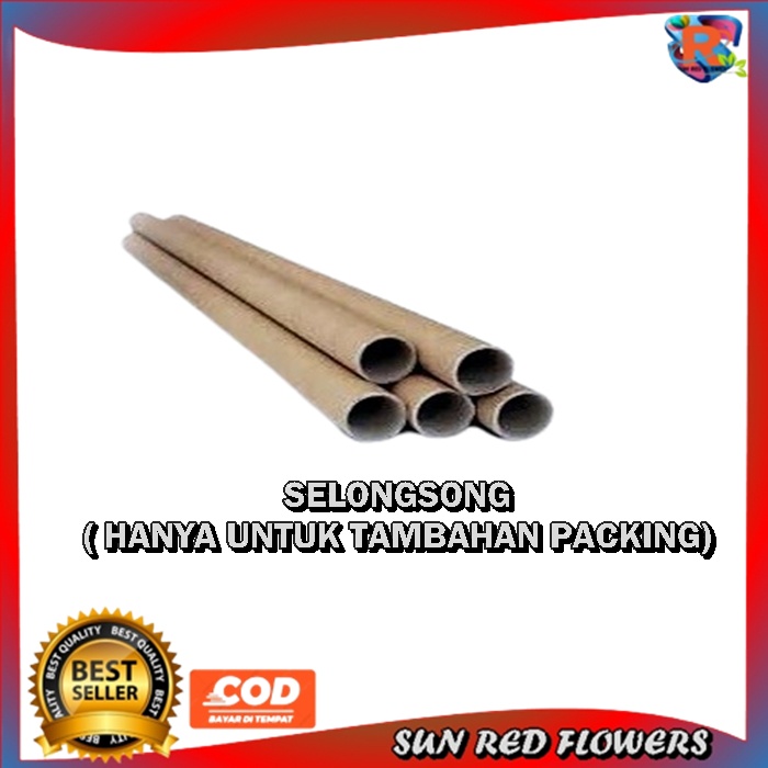 

Packing Tambahan Slongsong / selongsong agar paket lebih aman dan tidak ketekuk