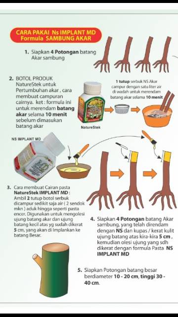 Nature stek sambung akar / implant akar