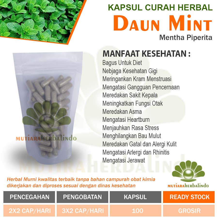 DAUN MINT 100 Kapsul Curah Herbal Diet Jerawat Fungsi Otak Stres Gigi