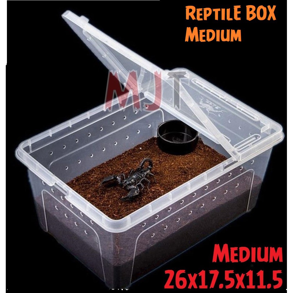 Breeding Box Kotak Kandang Reptil Tarantula Enclosure Feeding Box NOMOY H4 Wadah Gecko Iguana