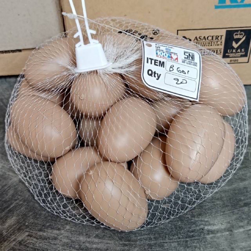 MAINAN TELUR AYAM TELUR COKLAT TELUR MAINAN
