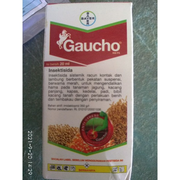 Ada Stok GAUCHO 20 ML