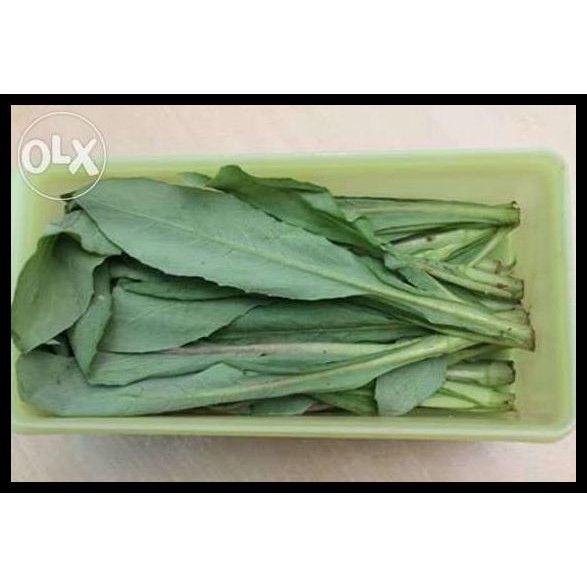 

Termurah Sayur Fumak