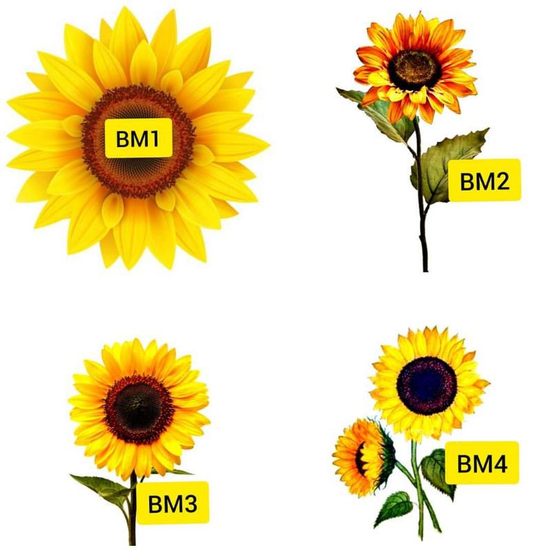 Tato Temporer Bunga matahari Sunflower Stiker Tato Minimalis - BM