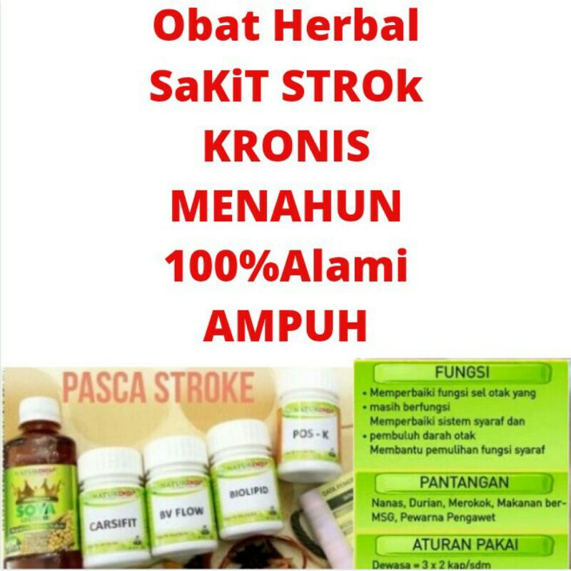 Obat stroke Obat stroke kronis Herbal stroke Obat stroke ampuh Obat pelancar darah Herbal stroke