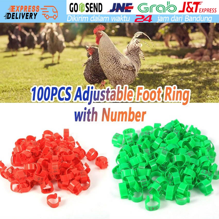 Gelang Kaki Ayam Ring Kaki Ayam Gelang Jepit Kaki Ayam dengan Nomor