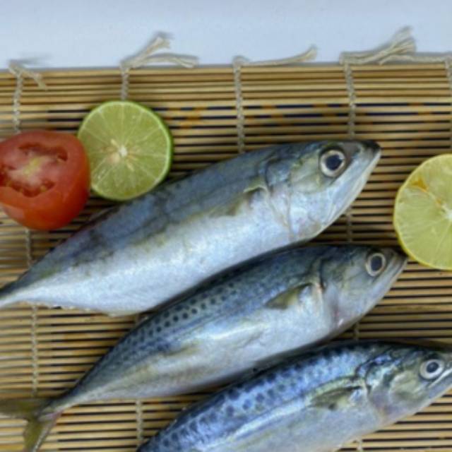 

Request ikan picungan