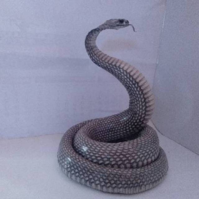 Patung ular cobra natural model 1 D
